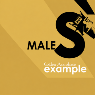 Accuphase Male Golden Example