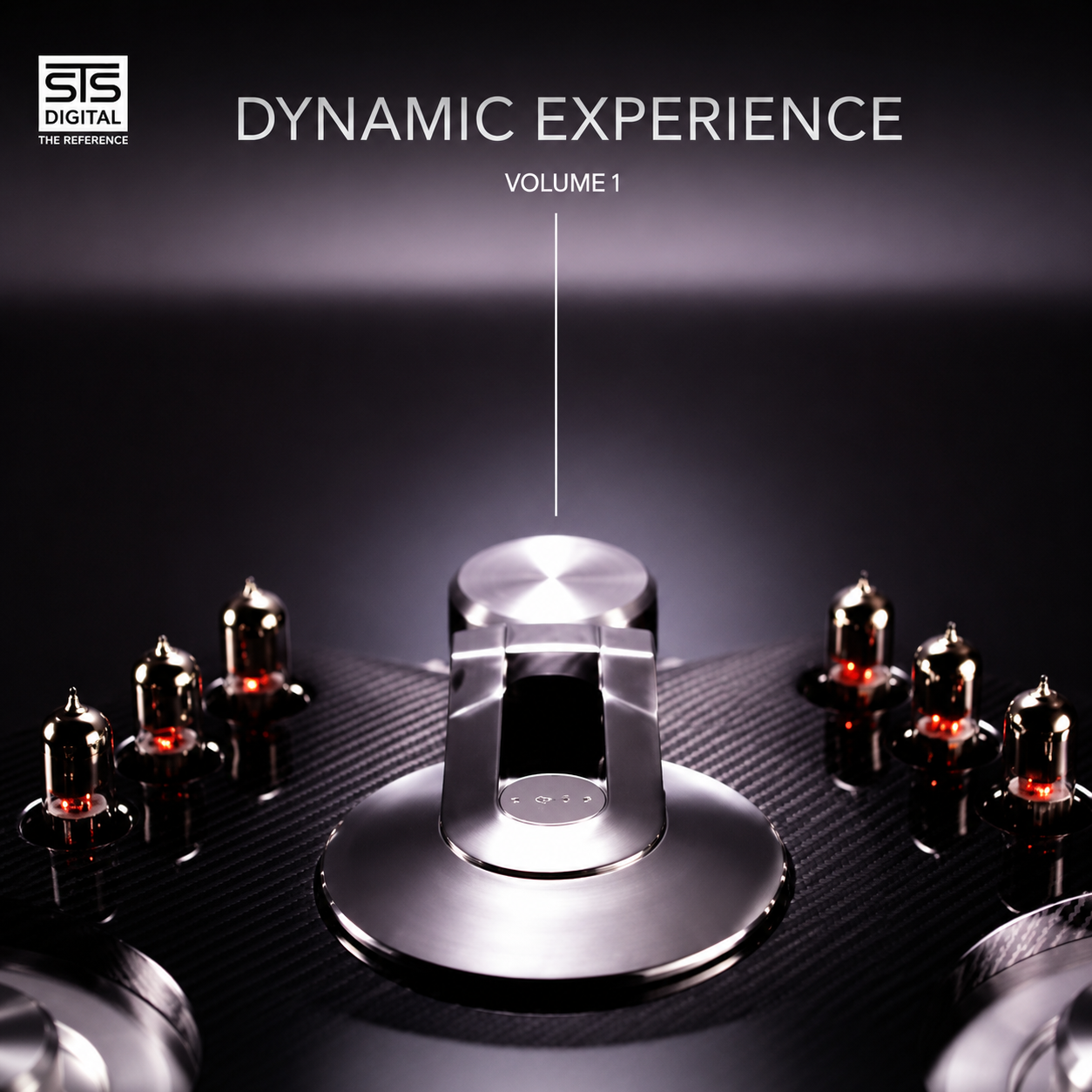 Dynamic Experience Volume