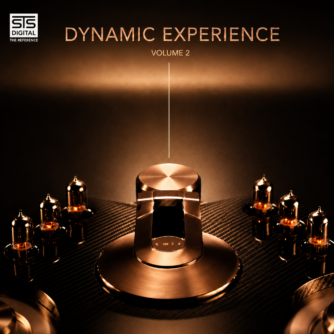 Dynamic Experience Volume