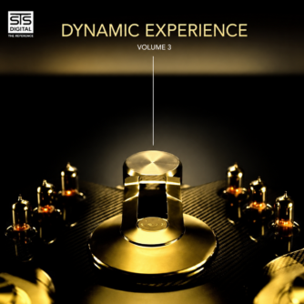 Dynamic Experience Volume
