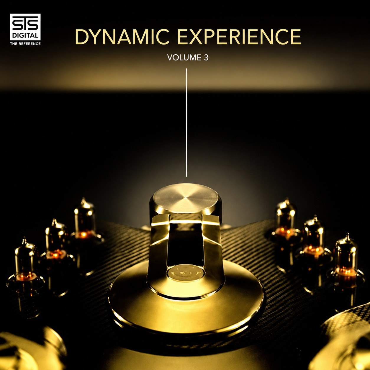Dynamic Experience Volume