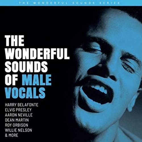 Wonderful Sounds of Male Vocals