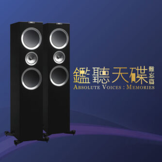 Absolute voices memory
