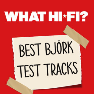 WhathifiBjörk2