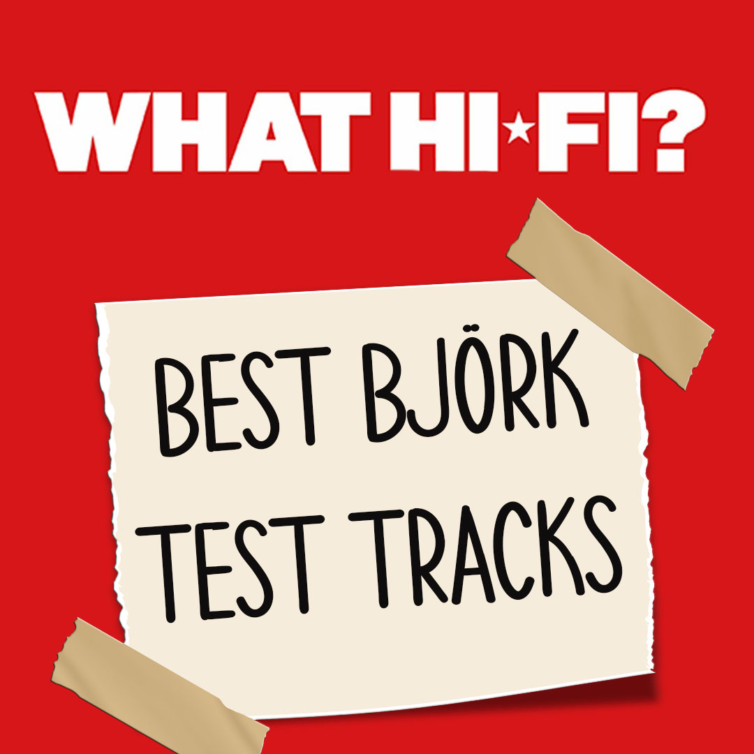 WhathifiBjörk2