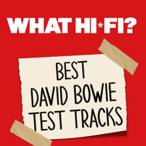 Whathifidvisbowie
