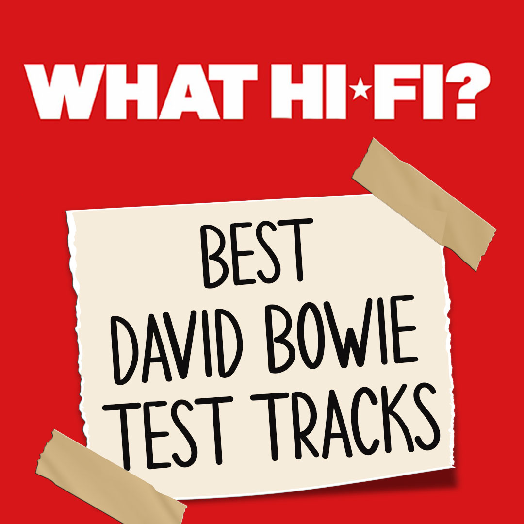 Whathifidvisbowie