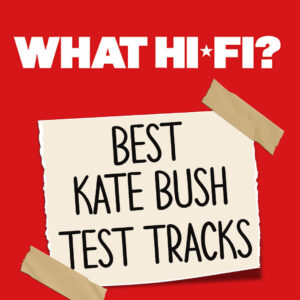 Whathifikatebush